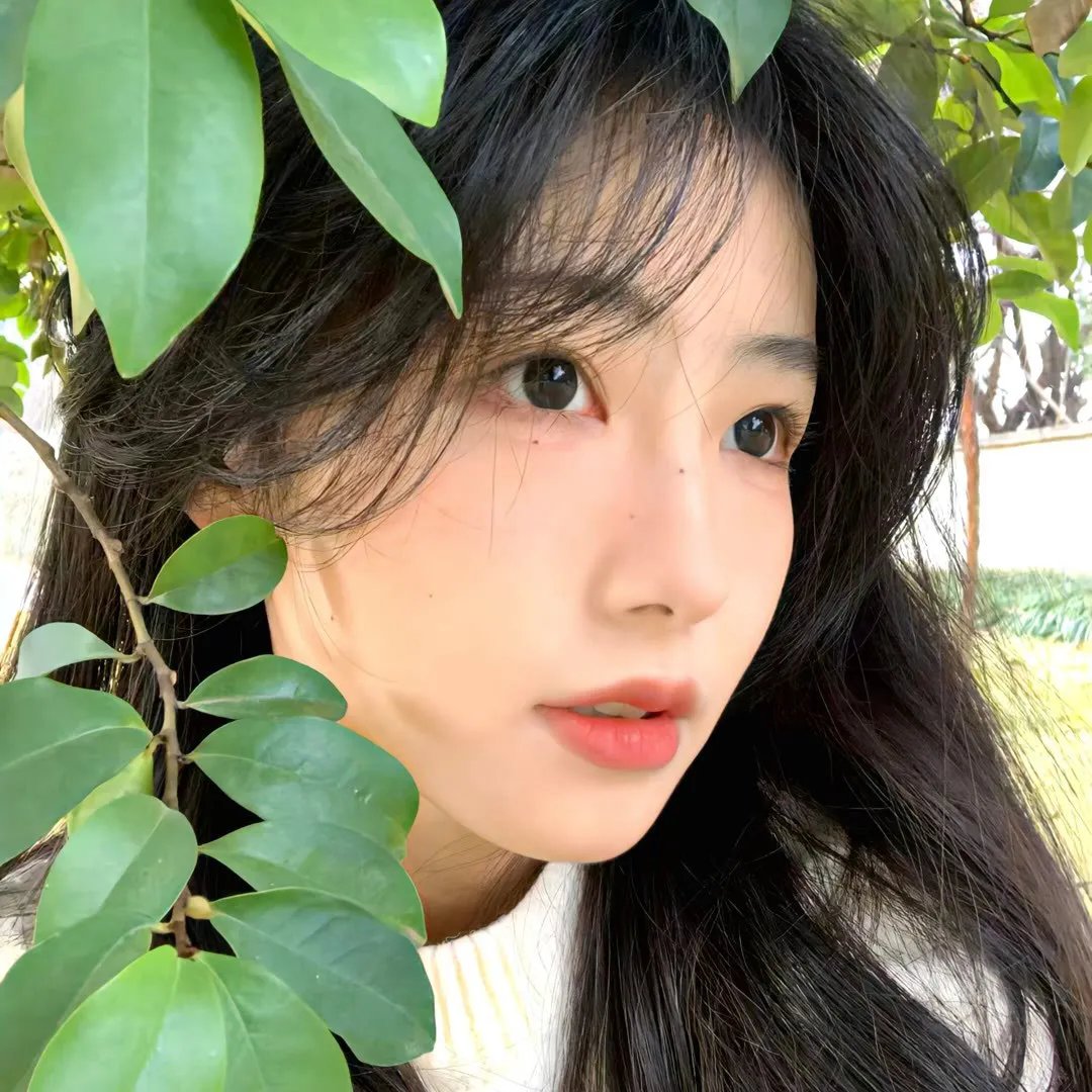 随盲柳入眠的女人 海报